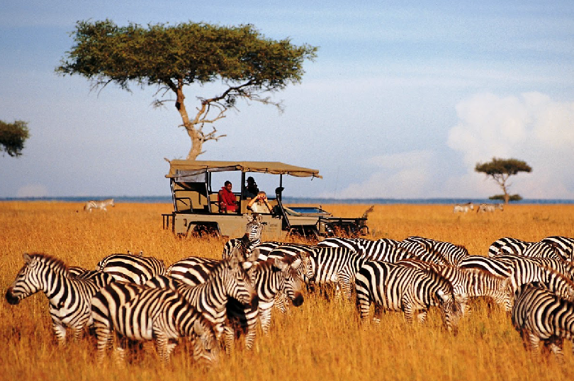 Tanzania – Popular Safari Destination